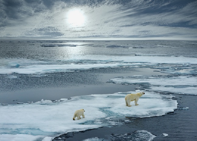 220 international ISO standards help act against climate change