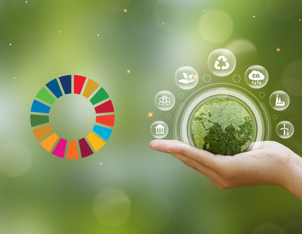 The S mark for Tourism Sustainability is now a UNE standard