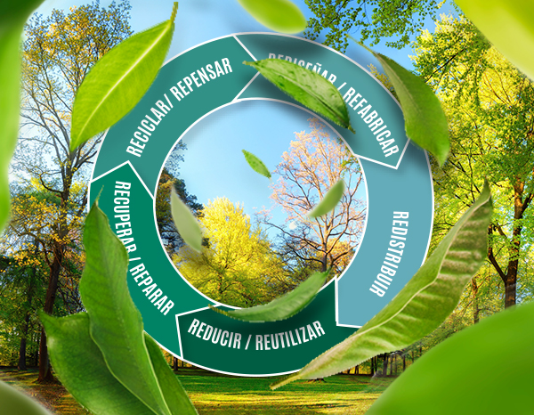 Boost to the Circular Economy standards