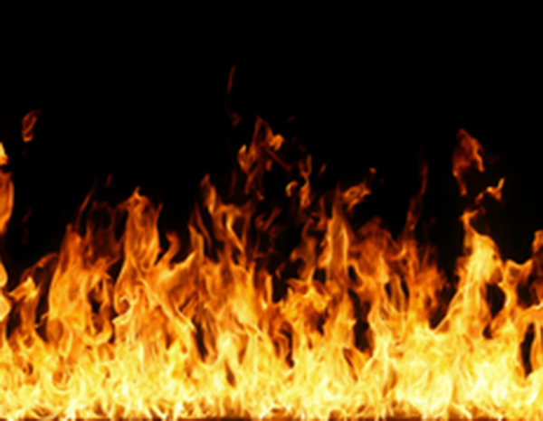 RSCIEI Technical Guide