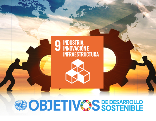 650 UNE standards, allies of SDG 9