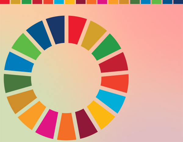 Future ISO standard for SDG compliance unveiled