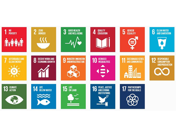 The commitment of UNE with the SDG