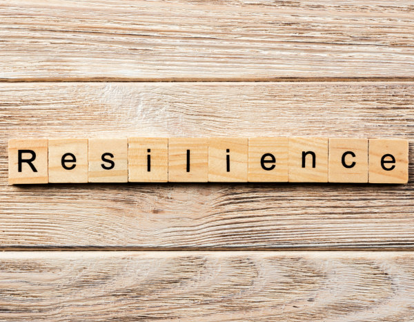 Another success as the third UNE Meeting takes place