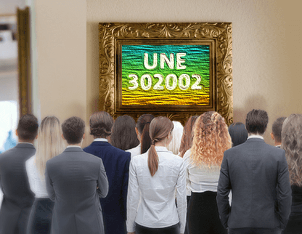 UNE Standard 302002