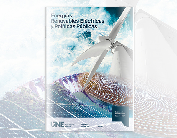 First report of the UNE Renewable Electricity Forum