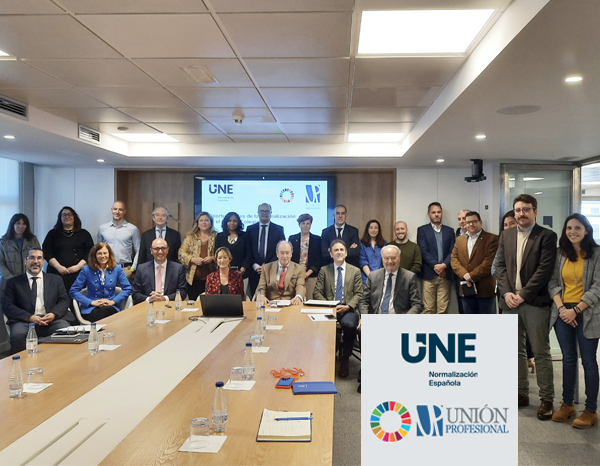 UNE and Unión Profesional discuss opportunities for standardisation in educational establishments